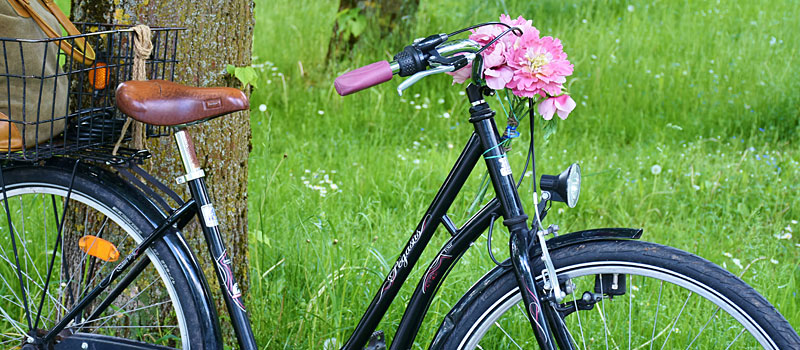 Mietangebot von qualitativ hochwertigen Fahrrädern Mietangebot von qualitativ hochwertigen Fahrrädern